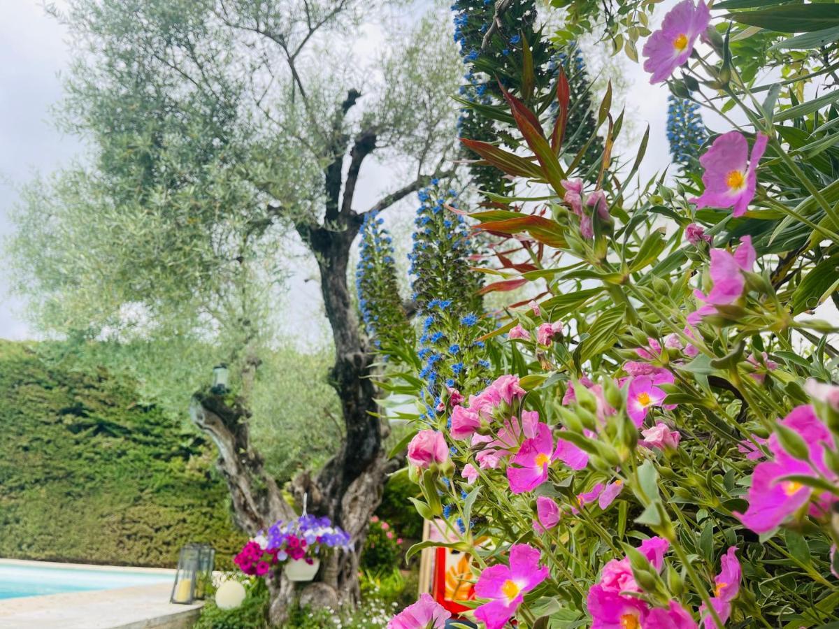 Abeille Bed & Breakfast ว็องส์ ภายนอก รูปภาพ