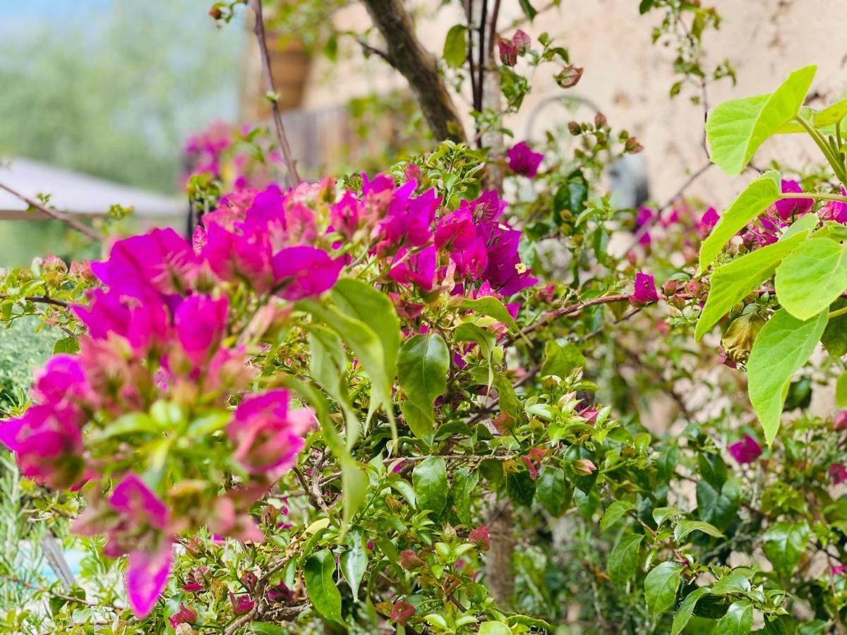 Abeille Bed & Breakfast ว็องส์ ภายนอก รูปภาพ